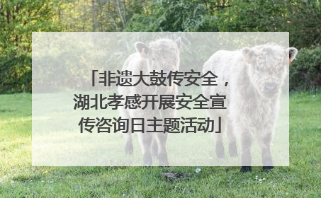 非遗大鼓传安全，湖北孝感开展安全宣传咨询日主题活动